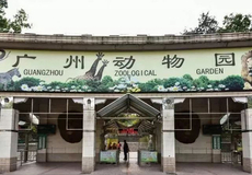 輕松規(guī)劃出游 攜程旅游一站式服務(wù)指南